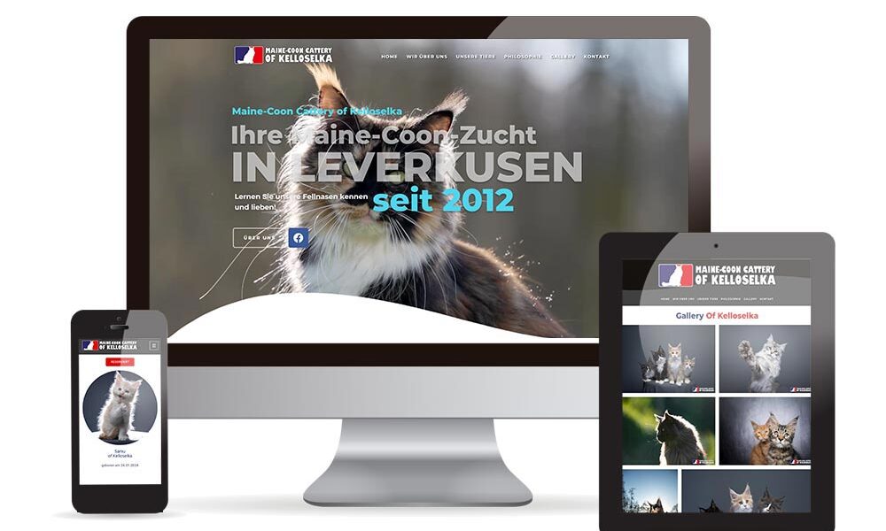 Maine Coon Cattery of Kelloselka