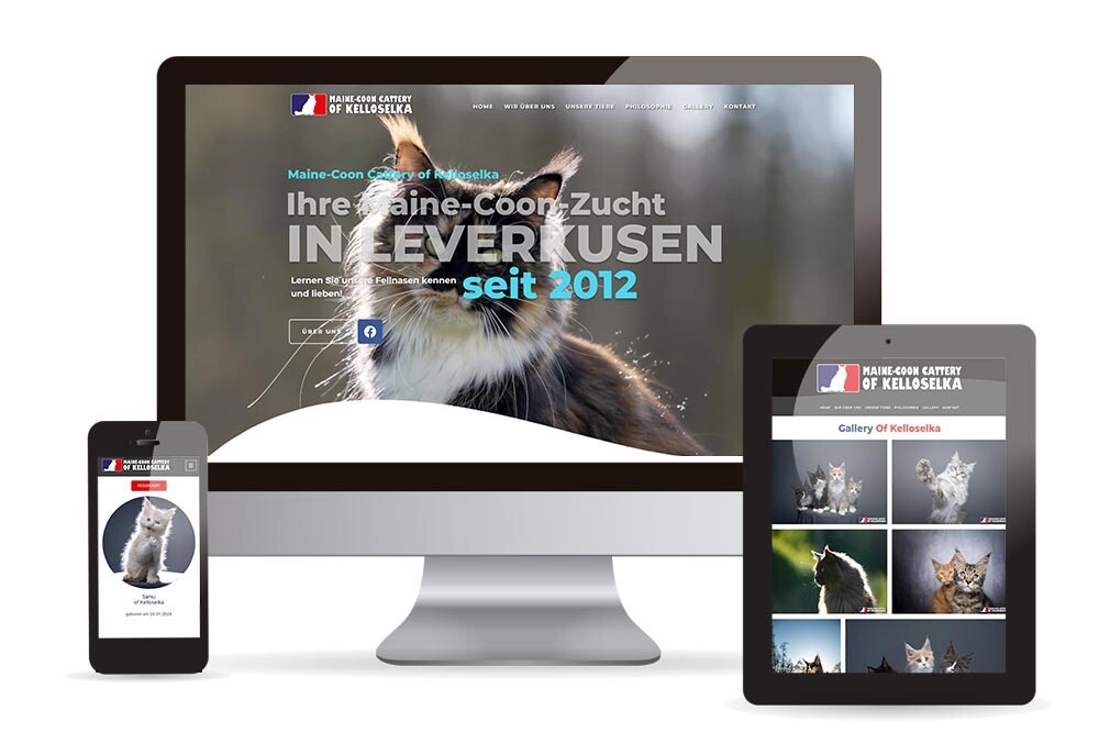 Webdesign, Logo & CI Maine Coon Cattery of Kelloselka